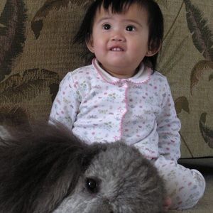 Meet your Posher, Diem chi